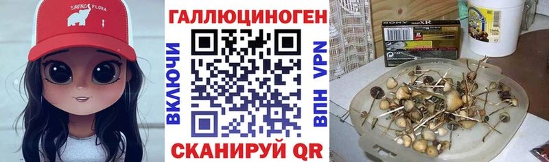 Галлюциногенные грибы Psilocybine cubensis Луза