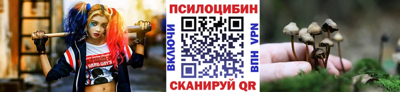 наркошоп  Луза  Псилоцибиновые грибы Magic Shrooms 